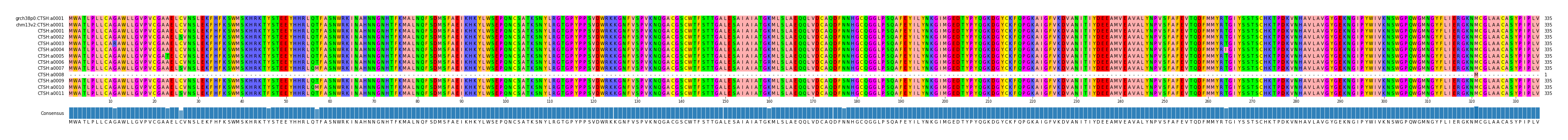 Multiple Alignments (by translate haplotype frequency)