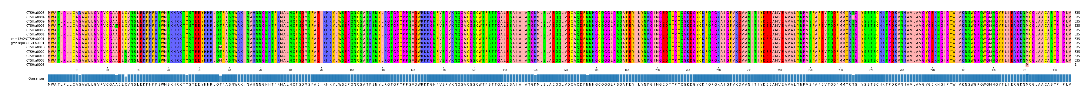 Multiple Alignments (by translate haplotype similarity)