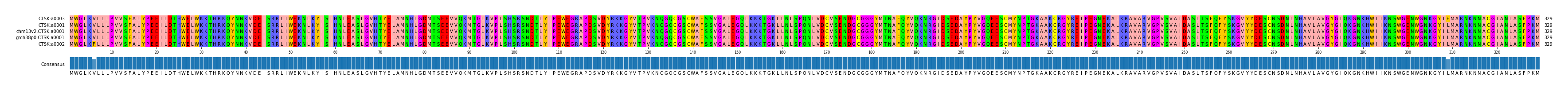 Multiple Alignments (by translate haplotype similarity)