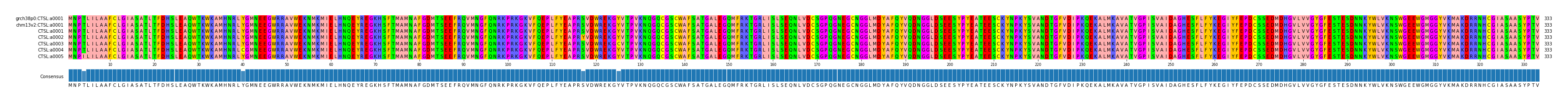 Multiple Alignments (by translate haplotype frequency)