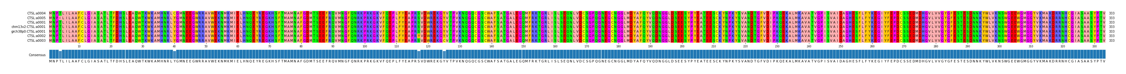 Multiple Alignments (by translate haplotype similarity)