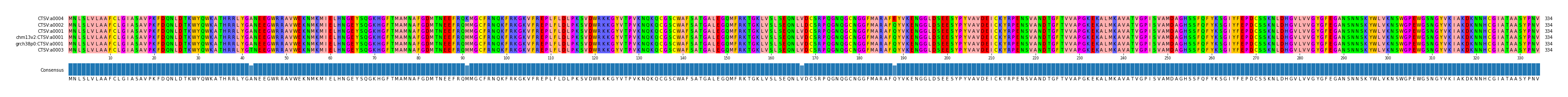 Multiple Alignments (by translate haplotype similarity)