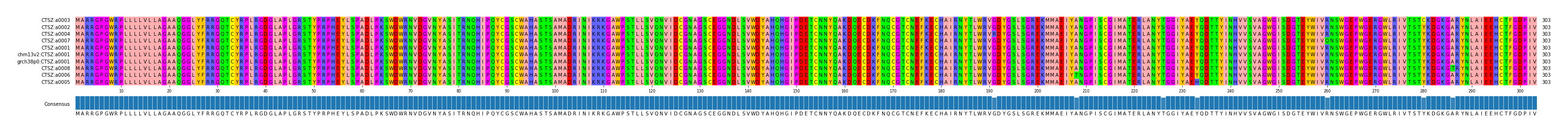 Multiple Alignments (by translate haplotype similarity)
