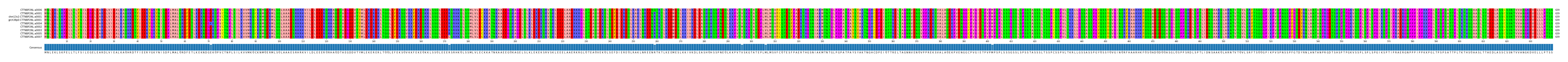 Multiple Alignments (by translate haplotype similarity)