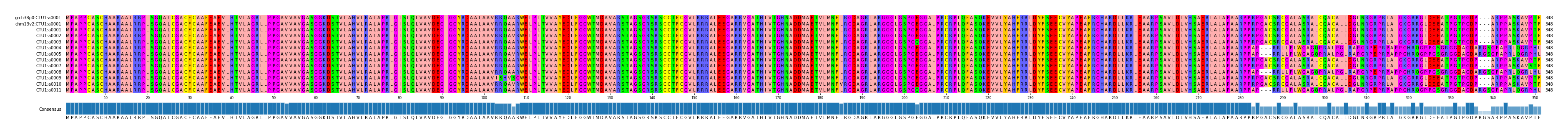 Multiple Alignments (by translate haplotype frequency)