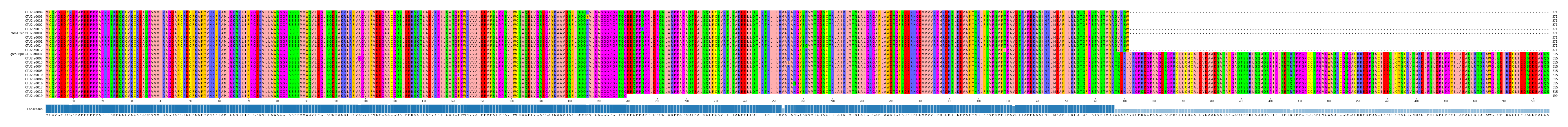 Multiple Alignments (by translate haplotype similarity)
