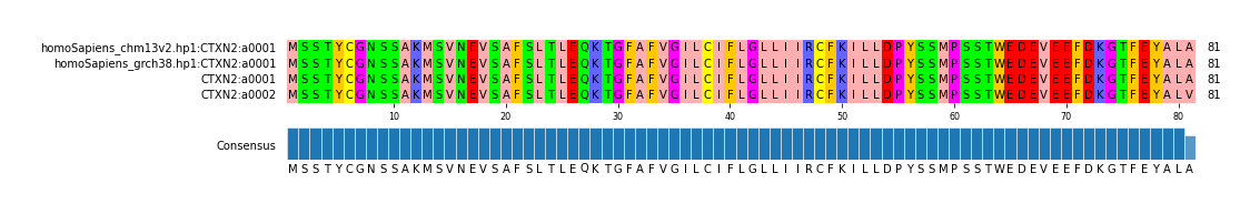Multiple Alignments (by translate haplotype similarity)