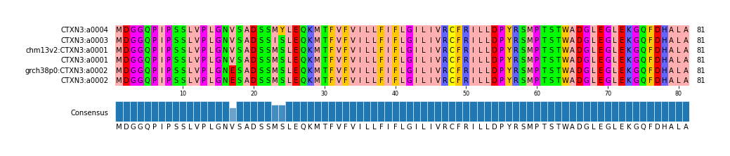 Multiple Alignments (by translate haplotype similarity)