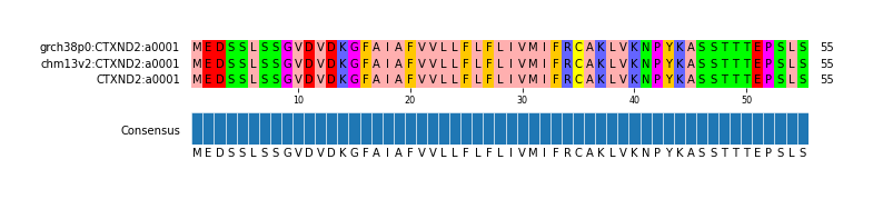 Multiple Alignments (by translate haplotype similarity)