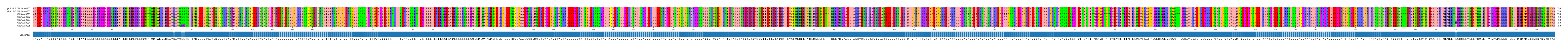 Multiple Alignments (by translate haplotype frequency)