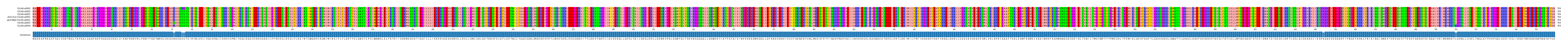 Multiple Alignments (by translate haplotype similarity)