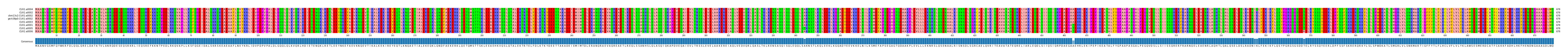 Multiple Alignments (by translate haplotype similarity)
