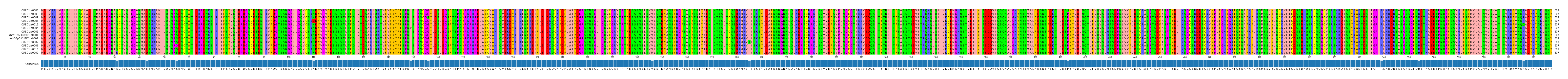 Multiple Alignments (by translate haplotype similarity)