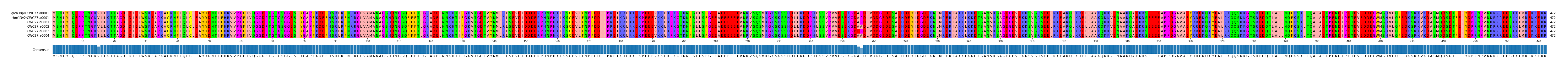 Multiple Alignments (by translate haplotype frequency)