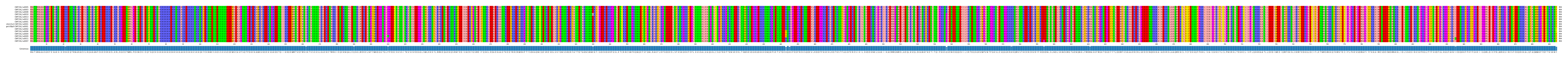Multiple Alignments (by translate haplotype similarity)