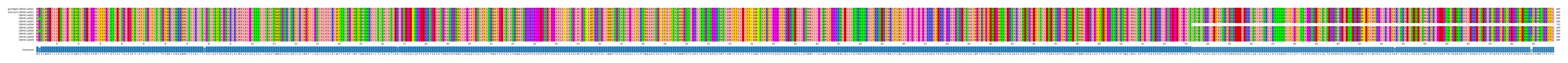 Multiple Alignments (by translate haplotype frequency)