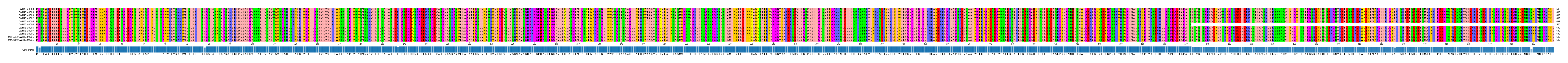 Multiple Alignments (by translate haplotype similarity)