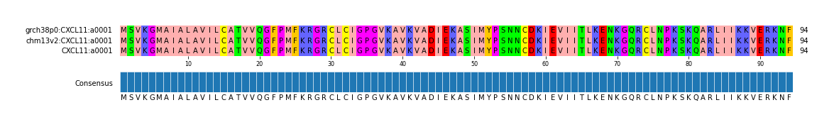 Multiple Alignments (by translate haplotype similarity)