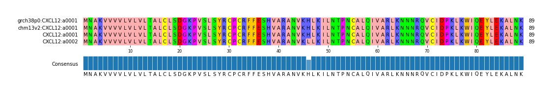 Multiple Alignments (by translate haplotype similarity)