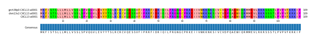 Multiple Alignments (by translate haplotype similarity)