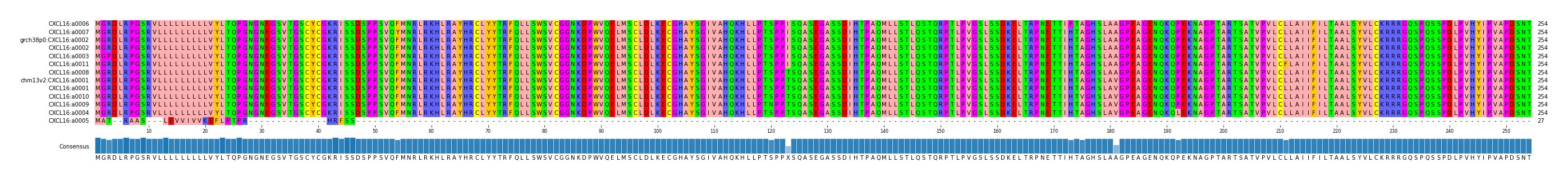 Multiple Alignments (by translate haplotype similarity)