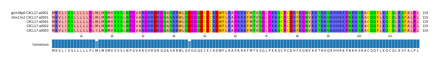 Multiple Alignments (by translate haplotype frequency)