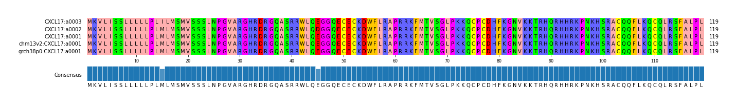 Multiple Alignments (by translate haplotype similarity)