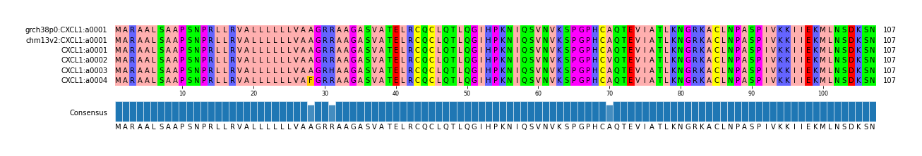 Multiple Alignments (by translate haplotype frequency)