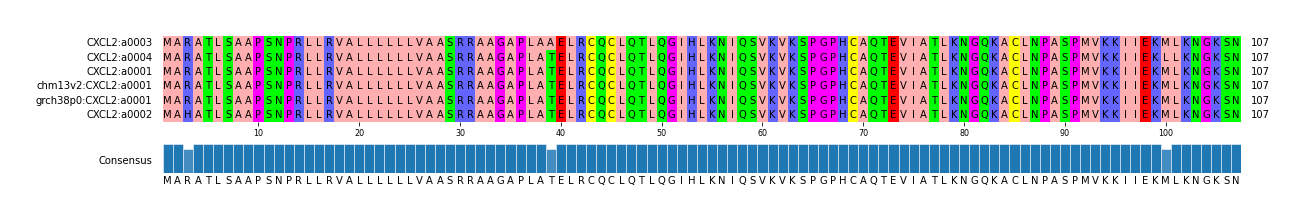 Multiple Alignments (by translate haplotype similarity)