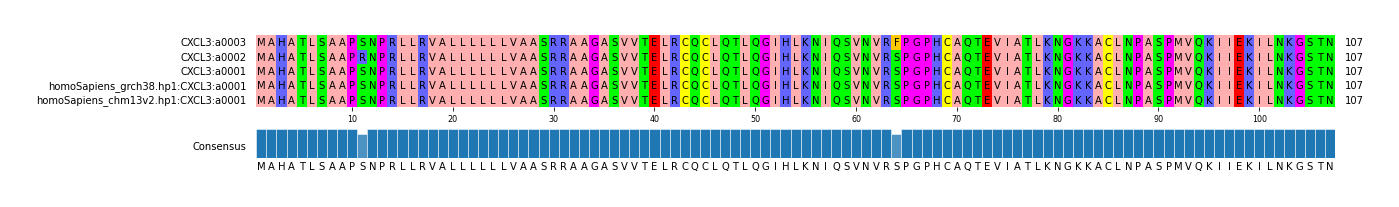 Multiple Alignments (by translate haplotype similarity)
