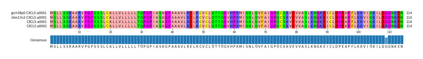 Multiple Alignments (by translate haplotype similarity)