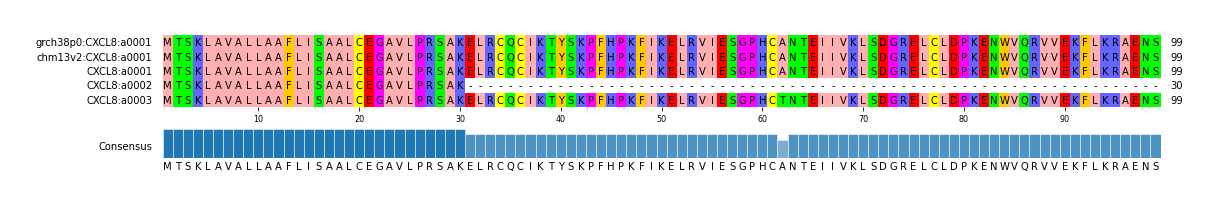 Multiple Alignments (by translate haplotype similarity)