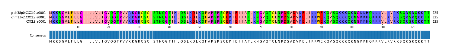 Multiple Alignments (by translate haplotype similarity)