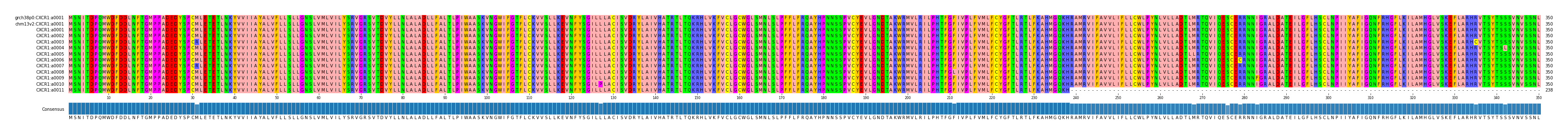 Multiple Alignments (by translate haplotype frequency)