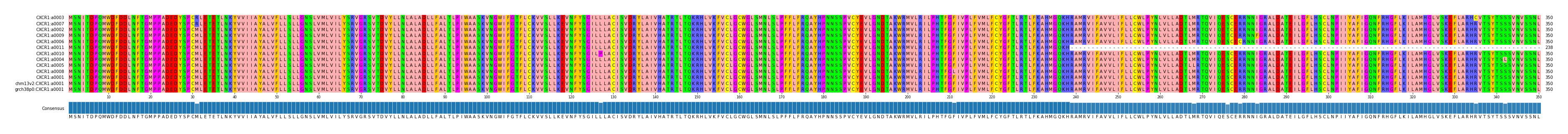 Multiple Alignments (by translate haplotype similarity)