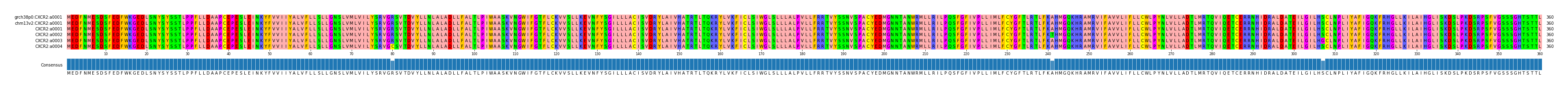 Multiple Alignments (by translate haplotype frequency)