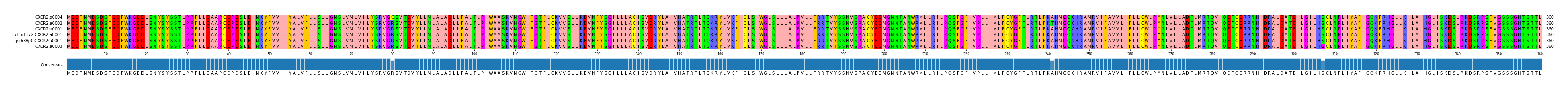 Multiple Alignments (by translate haplotype similarity)