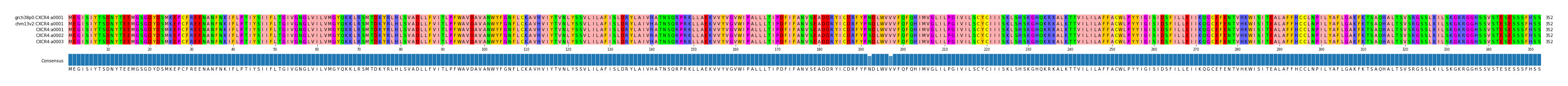 Multiple Alignments (by translate haplotype frequency)