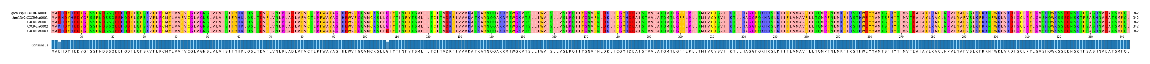 Multiple Alignments (by translate haplotype frequency)