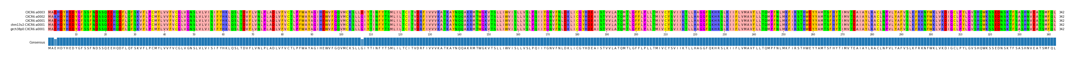 Multiple Alignments (by translate haplotype similarity)