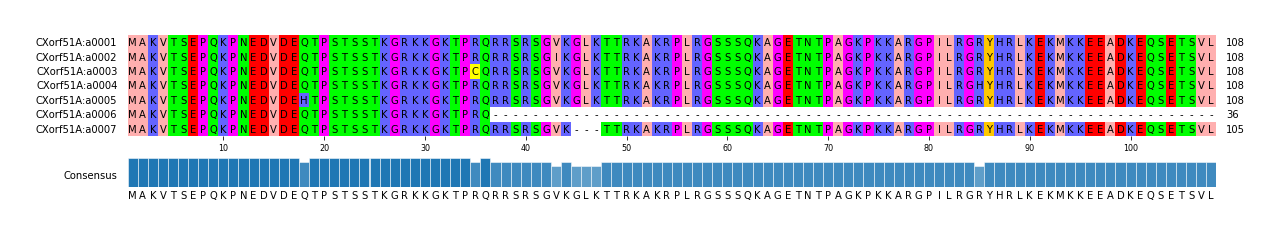 Multiple Alignments (by translate haplotype frequency)