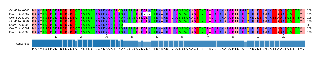 Multiple Alignments (by translate haplotype similarity)