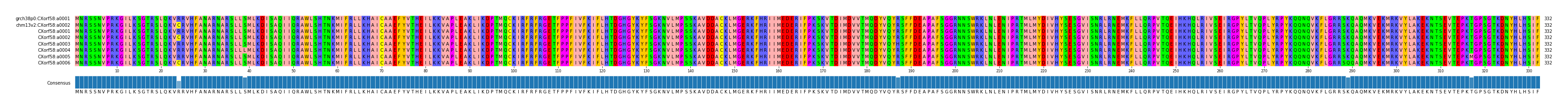 Multiple Alignments (by translate haplotype frequency)