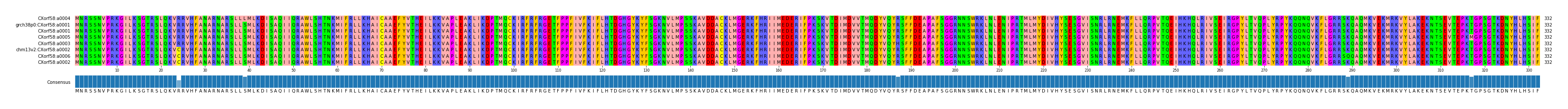 Multiple Alignments (by translate haplotype similarity)