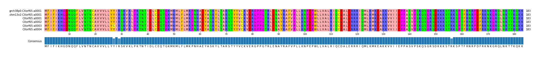 Multiple Alignments (by translate haplotype frequency)