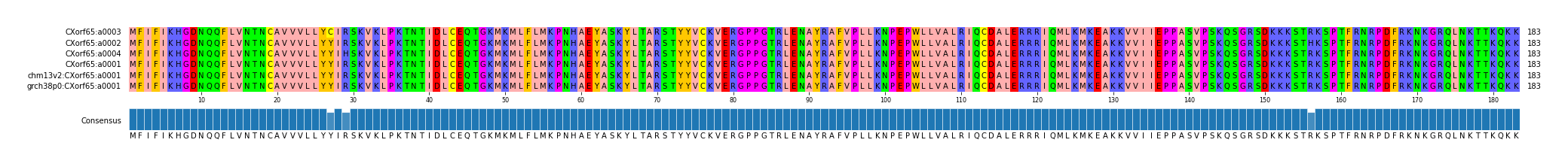 Multiple Alignments (by translate haplotype similarity)
