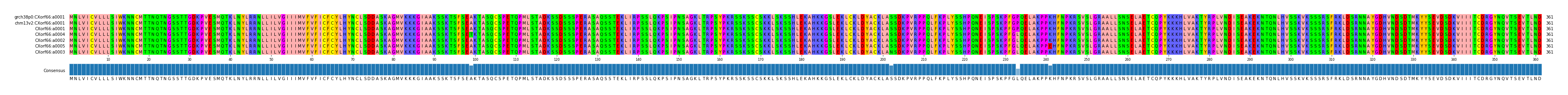 Multiple Alignments (by translate haplotype similarity)