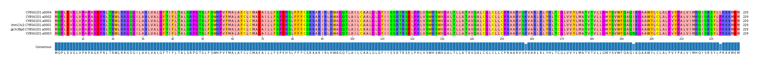 Multiple Alignments (by translate haplotype similarity)