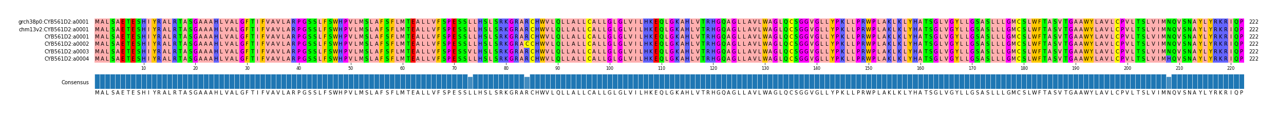 Multiple Alignments (by translate haplotype frequency)