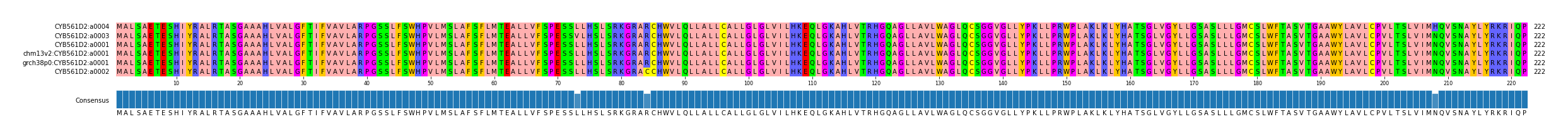 Multiple Alignments (by translate haplotype similarity)